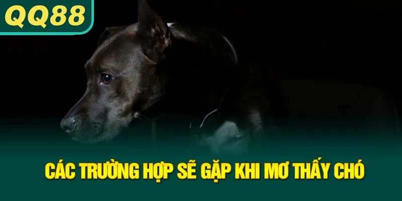 cac-truong-hop-se-gap-khi-mo-thay-cho_33_11zon