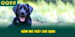 nam-mo-thay-cho-qq88_9_11zon