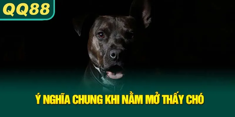 y-nghia-chung-khi-nam-mo-thay-cho_27_11zon