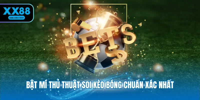 Bật mí thủ thuật soi kèo bóng chuẩn xác nhất